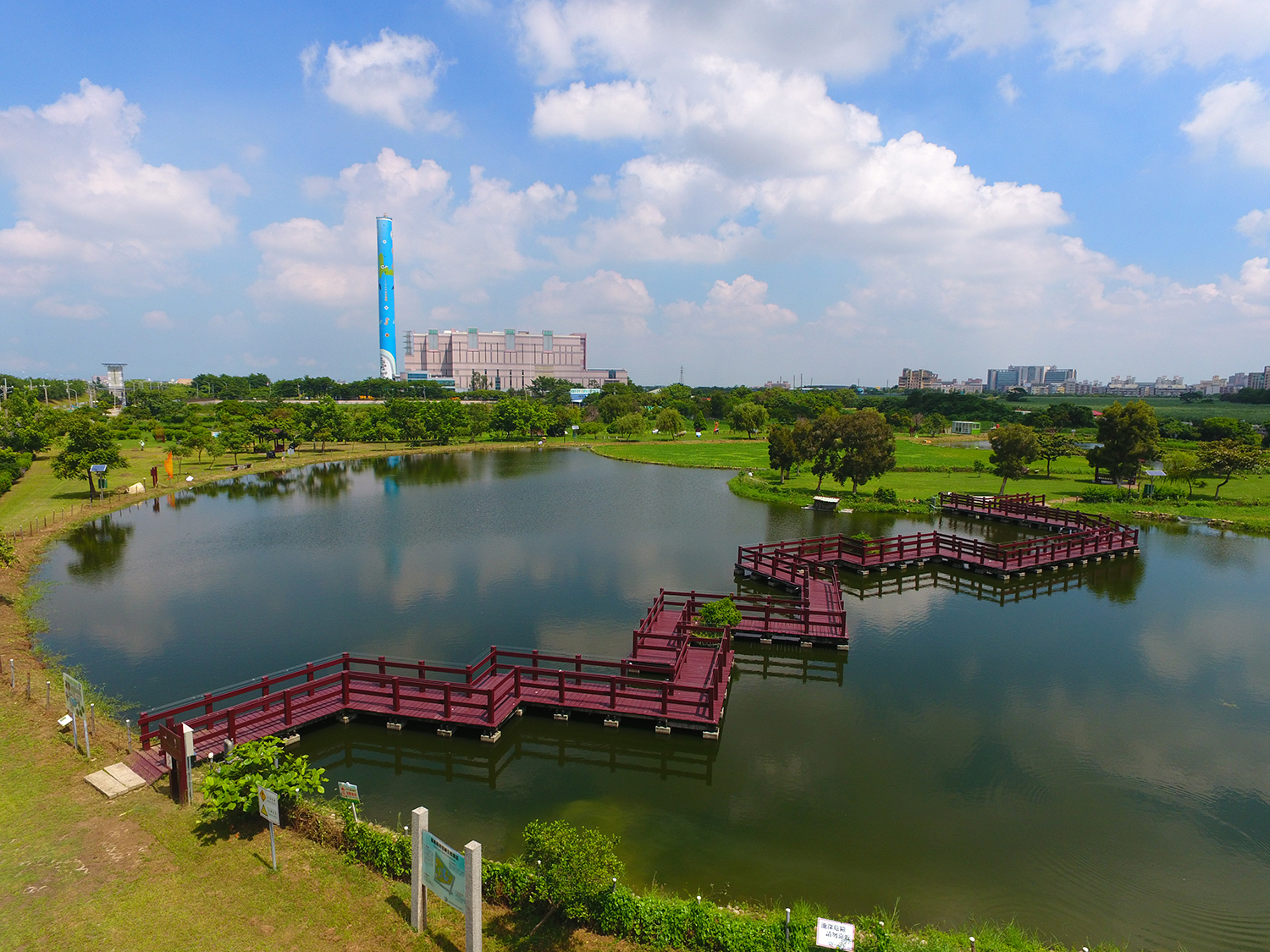 嘉義縣焚化廠旁的荷苞嶼濕地公園,最近發現台灣水雉築巢育雛的蹤跡。 圖:嘉義縣政府/提供 嘉義縣焚化廠旁的荷苞嶼濕地公園,最近發現台灣水雉築巢育雛的蹤跡。 圖:嘉義縣政府/提供