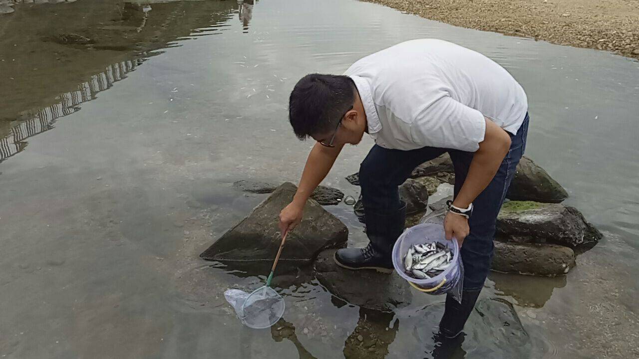 環保人員現場打撈魚屍。 圖 : 基隆市政府/提供 環保人員現場打撈魚屍。 圖 : 基隆市政府/提供