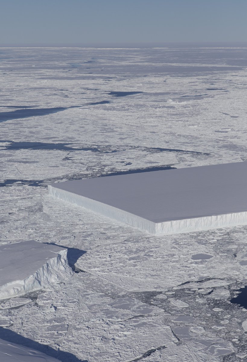 美國國家航空暨太空總署(NASA)日前公布了一張攝於南極的「矩形冰山」照片,照片中位於南極拉森冰架(Larsen Ice Shelf)區域,出現了一座方方正正,宛如用工具切好一般工整的冰山。 圖:翻攝自NASA ICE推特 美國國家航空暨太空總署(NASA)日前公布了一張攝於南極的「矩形冰山」照片,照片中位於南極拉森冰架(Larsen Ice Shelf)區域,出現了一座方方正正,宛如用工具切好一般工整的冰山。 圖:翻攝自NASA ICE推特