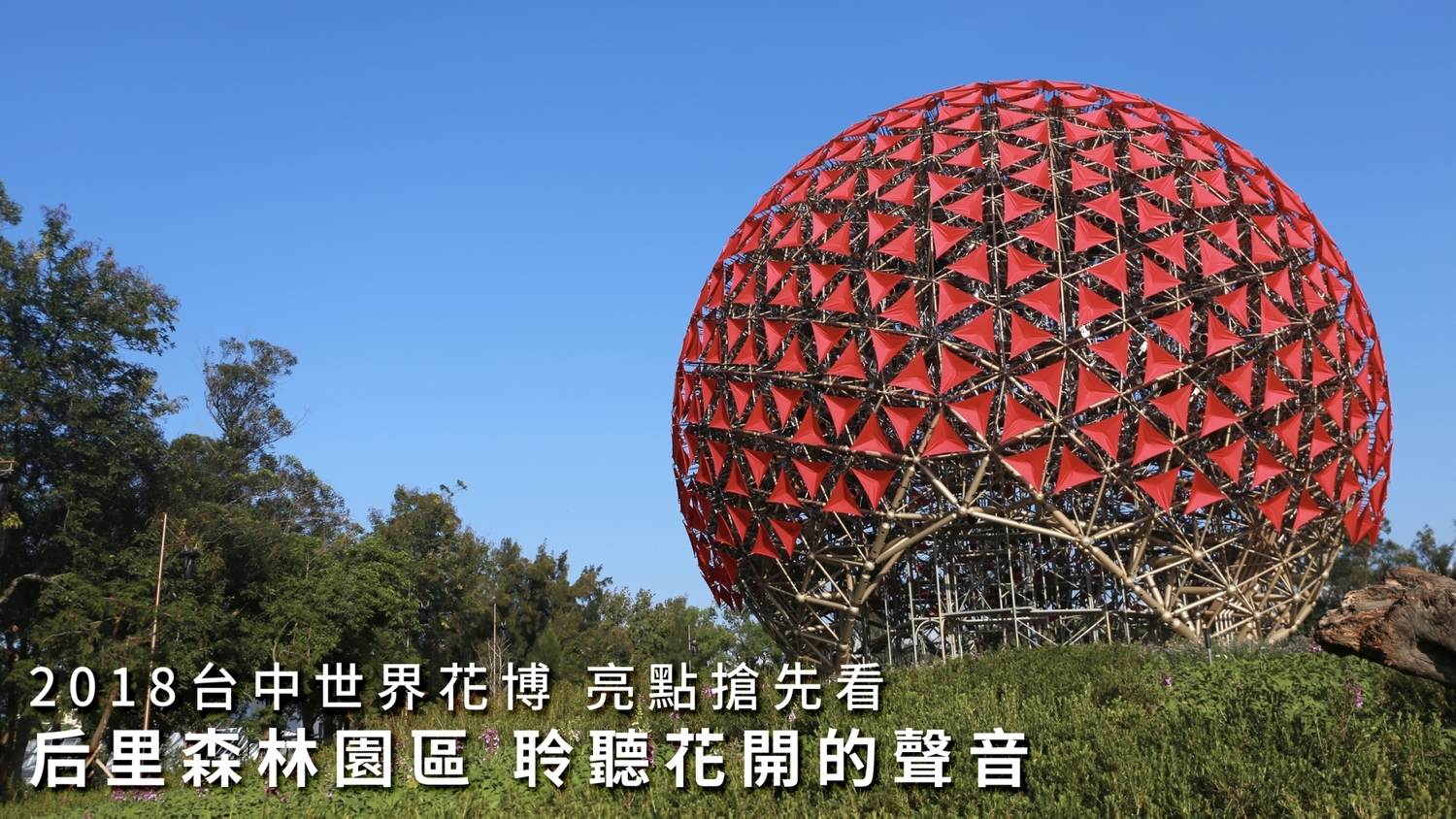 全區亮點「聆聽花開的聲音」大型裝置藝術,結合光影譜出新樂章。 圖:台中市政府/提供 全區亮點「聆聽花開的聲音」大型裝置藝術,結合光影譜出新樂章。 圖:台中市政府/提供