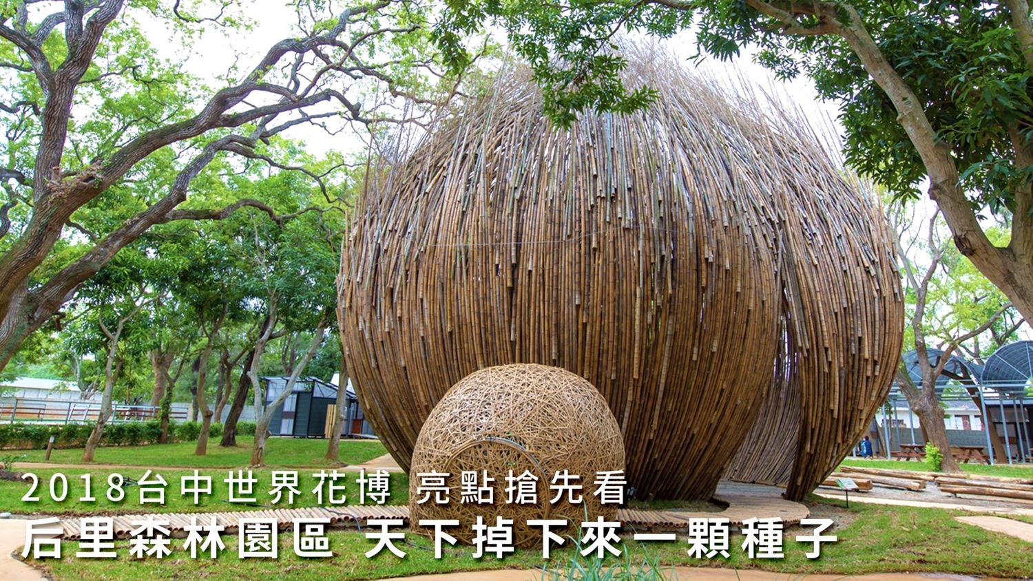 台中花博11/3日開幕,邀請大家共襄盛舉。 圖:台中市政府/提供 台中花博11/3日開幕,邀請大家共襄盛舉。 圖:台中市政府/提供