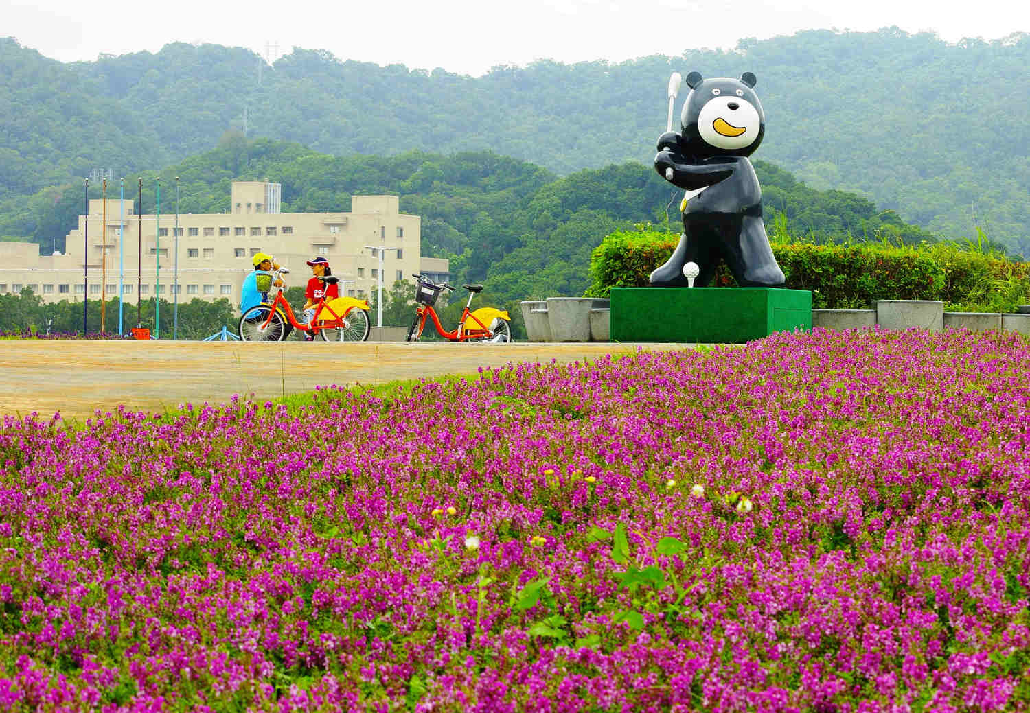 大佳河濱公園今年最後一波花海。 圖:台北市水利處/提供 大佳河濱公園今年最後一波花海。 圖:台北市水利處/提供