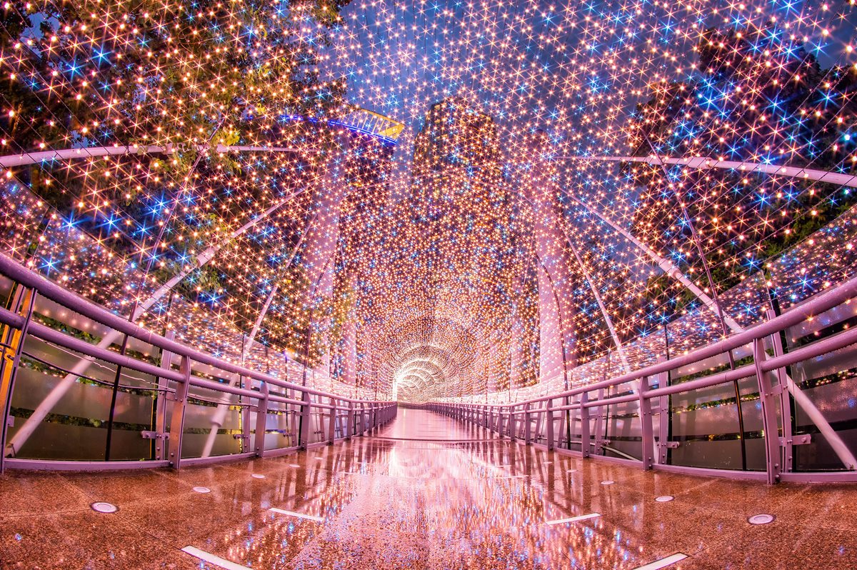 紅粉星橋。 圖:新北市政府/提供 紅粉星橋。 圖:新北市政府/提供