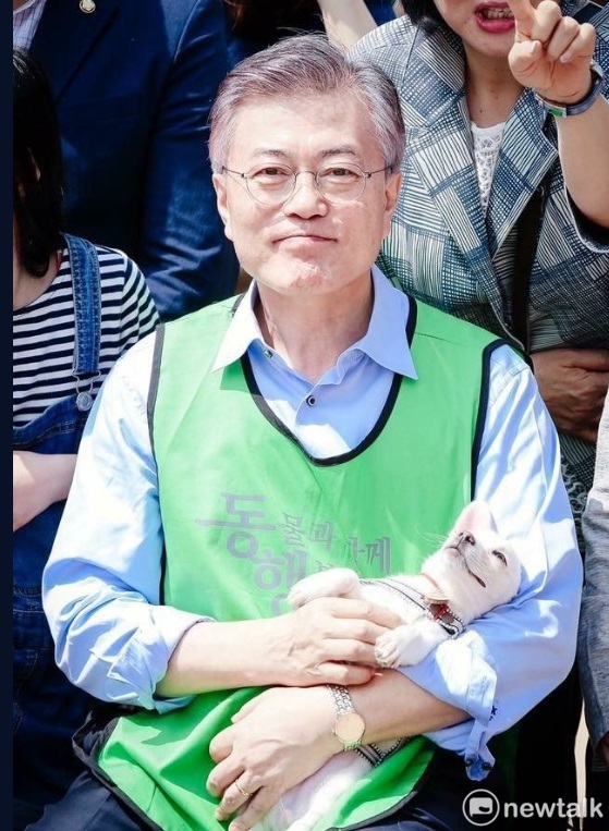 金正恩送的狗生6隻狗寶寶 圖: 翻攝自青瓦台推特 金正恩送的狗生6隻狗寶寶 圖: 翻攝自青瓦台推特