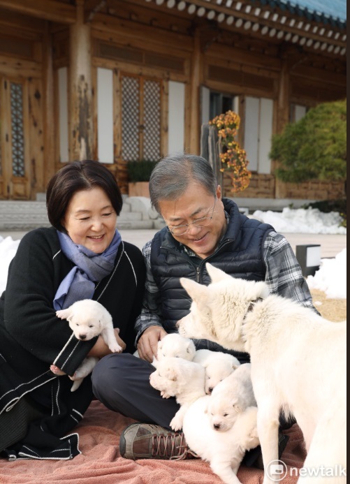 金正恩送的狗生6隻狗寶寶 圖: 翻攝自青瓦台推特 金正恩送的狗生6隻狗寶寶 圖: 翻攝自青瓦台推特
