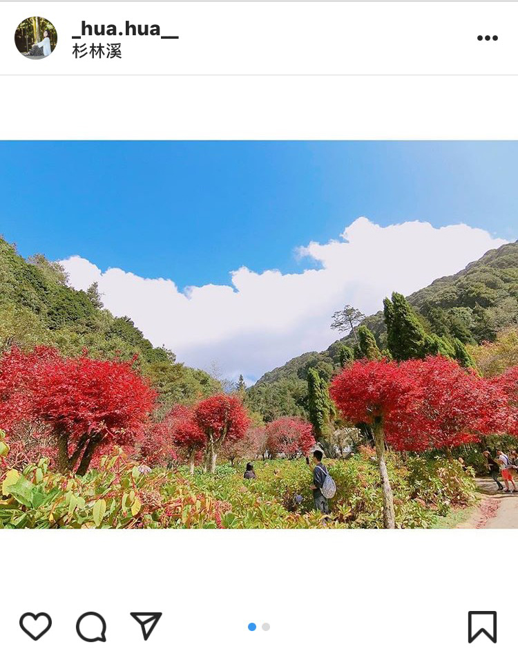 「杉林溪森林遊樂園區」的楓紅,也是拍照打卡的熱點。 圖:翻攝自instrgram/_hua.hua__ 開放權限 「杉林溪森林遊樂園區」的楓紅,也是拍照打卡的熱點。 圖:翻攝自instrgram/_hua.hua__ 開放權限