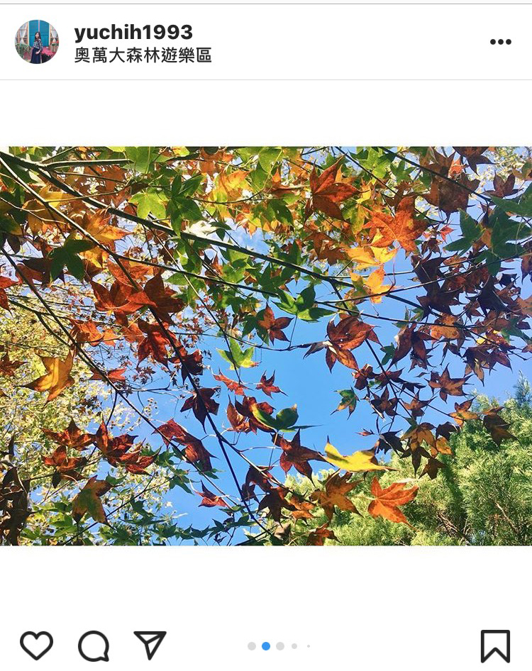 「奧萬大森林遊樂區」內橘紅搭配青綠的楓葉,也別有一番風味。 圖:翻攝自instrgram/yuchih1993 開放權限 「奧萬大森林遊樂區」內橘紅搭配青綠的楓葉,也別有一番風味。 圖:翻攝自instrgram/yuchih1993 開放權限