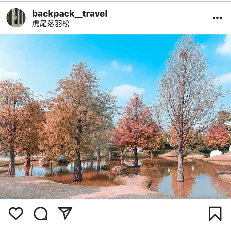 「虎尾落羽松」的景色,令人彷彿置身異國。 圖:翻攝自instagram/backpack__travel 開放權限 「虎尾落羽松」的景色,令人彷彿置身異國。 圖:翻攝自instagram/backpack__travel 開放權限