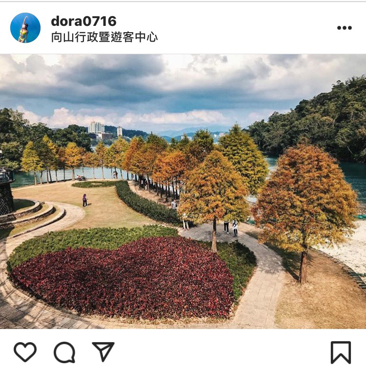 「向山遊客中心」橘黃的落羽松搭配湖景,別有一番風味。 圖:翻攝自instagram/dora0716 開放權限 「向山遊客中心」橘黃的落羽松搭配湖景,別有一番風味。 圖:翻攝自instagram/dora0716 開放權限