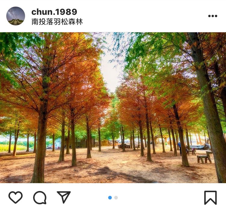 「南投落羽松森林」的景色,就如同來到韓劇的場景般,十分浪漫。 圖:翻攝自instagram/chun.1989 開放權限 「南投落羽松森林」的景色,就如同來到韓劇的場景般,十分浪漫。 圖:翻攝自instagram/chun.1989 開放權限