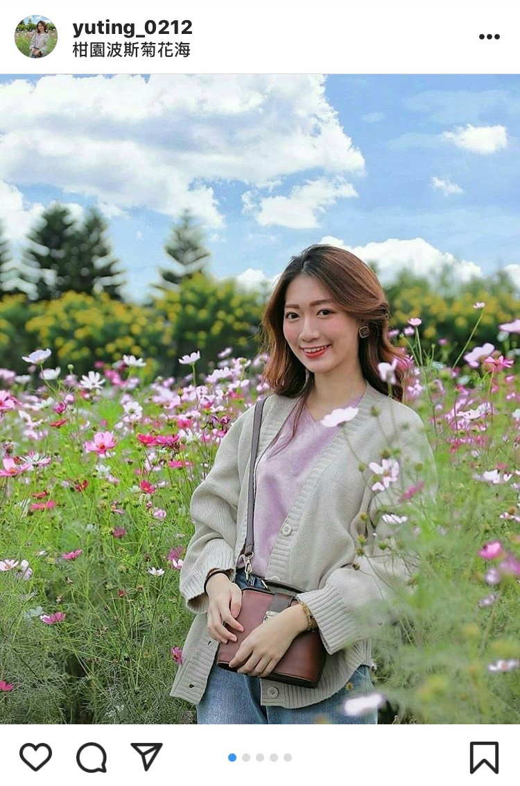 柑園波斯菊花海的美景,吸引許多民眾前往朝聖。 圖:翻攝自instagram yuting_0212/開放權限 柑園波斯菊花海的美景,吸引許多民眾前往朝聖。 圖:翻攝自instagram yuting_0212/開放權限