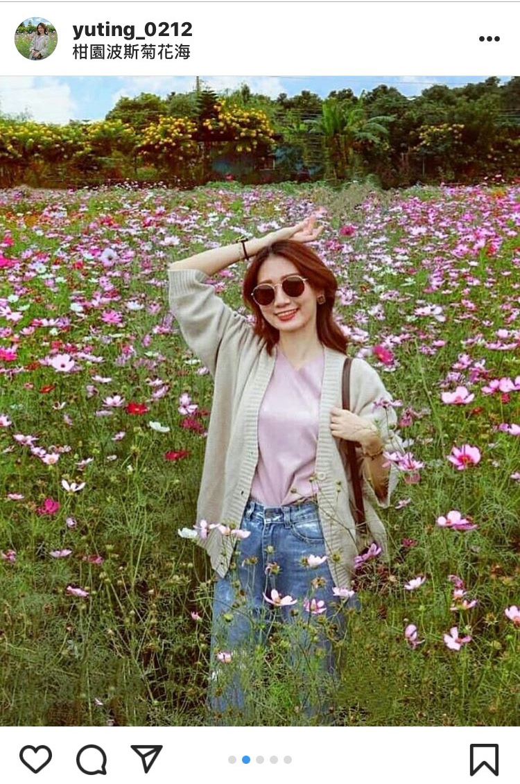 柑園波斯菊花海,雖便拍都很美! 圖:翻攝自instagram yuting_0212/開放權限 柑園波斯菊花海,雖便拍都很美! 圖:翻攝自instagram yuting_0212/開放權限