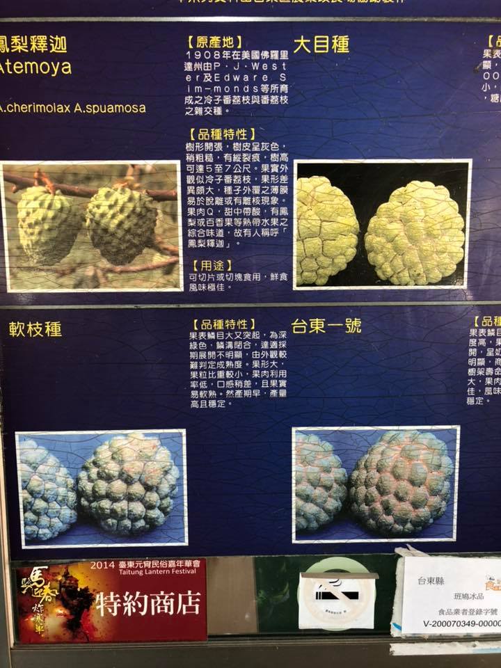 台東釋迦農民生產各式各樣的接枝釋迦,如鳳梨釋迦、荔枝釋迦、大目種、台東一號等。 圖:翻攝自謝金河臉書 台東釋迦農民生產各式各樣的接枝釋迦,如鳳梨釋迦、荔枝釋迦、大目種、台東一號等。 圖:翻攝自謝金河臉書