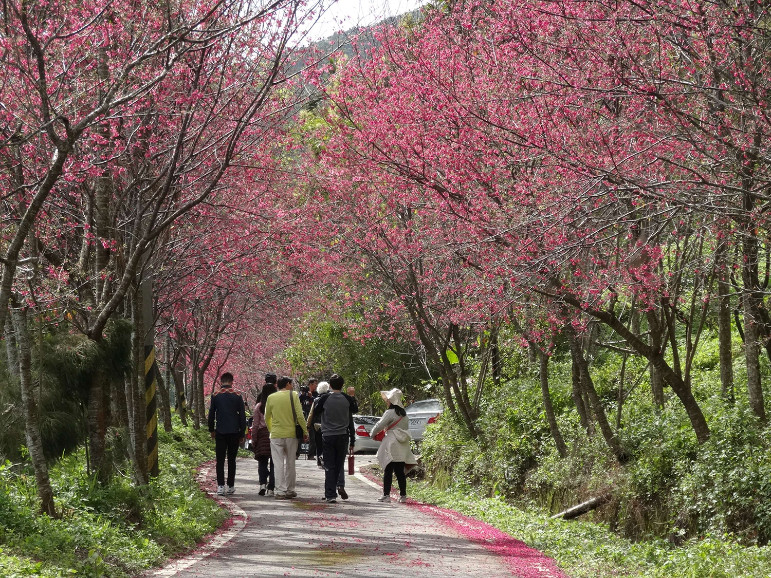 花蓮縣鳯林鎮。 圖:交通部觀光局/提供 花蓮縣鳯林鎮。 圖:交通部觀光局/提供