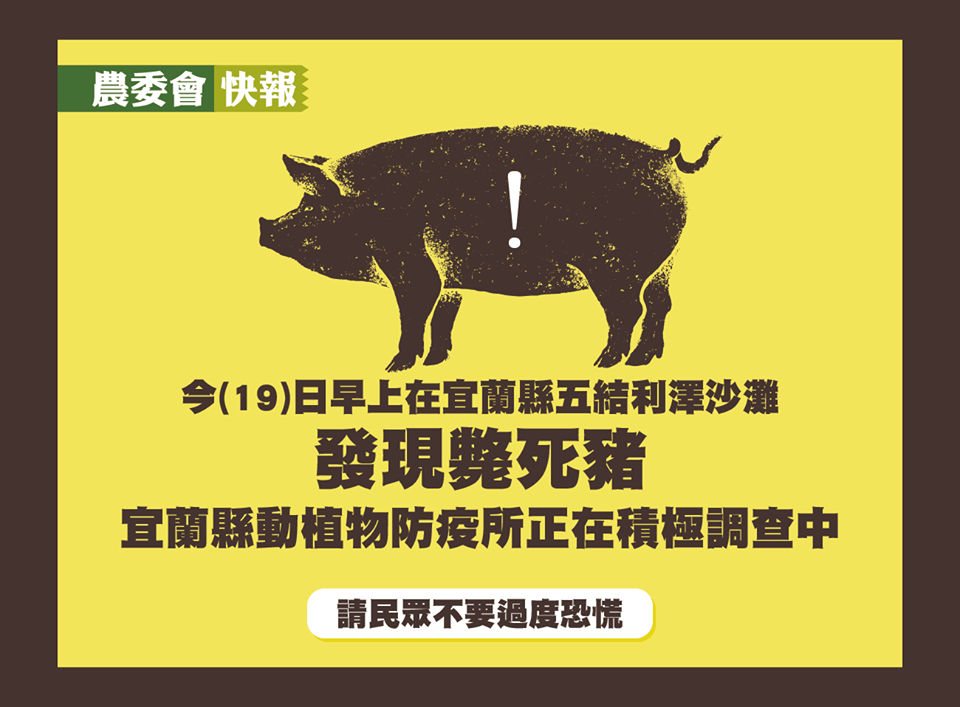 今(19)日在宜蘭發現豬屍,農委會表示,下午已採樣豬屍,送驗檢體中,明天可知道結果。 圖:截自農委會粉絲專頁 今(19)日在宜蘭發現豬屍,農委會表示,下午已採樣豬屍,送驗檢體中,明天可知道結果。 圖:截自農委會粉絲專頁