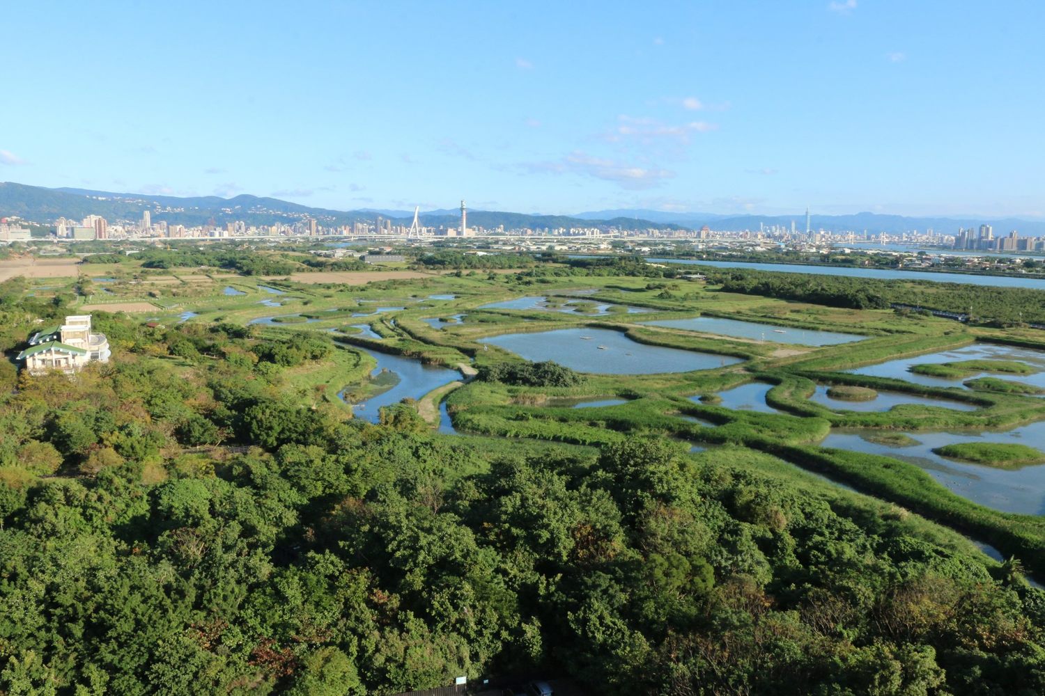 濕地風貌 圖:台北市動保處/提供 濕地風貌 圖:台北市動保處/提供