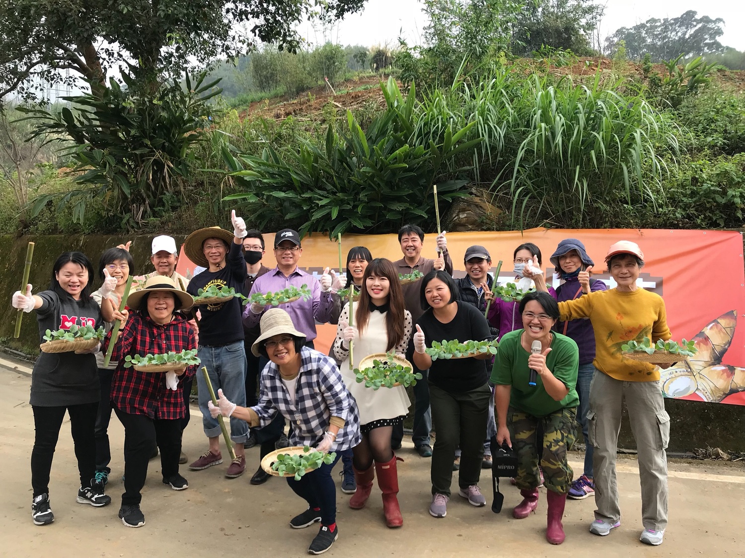 桃園山城紅花節的農事體驗活動可以讓民眾採摘有機蔬菜、吃焢窯地瓜,當「一日農夫」。 圖:桃園市政府農業局/提供 桃園山城紅花節的農事體驗活動可以讓民眾採摘有機蔬菜、吃焢窯地瓜,當「一日農夫」。 圖:桃園市政府農業局/提供