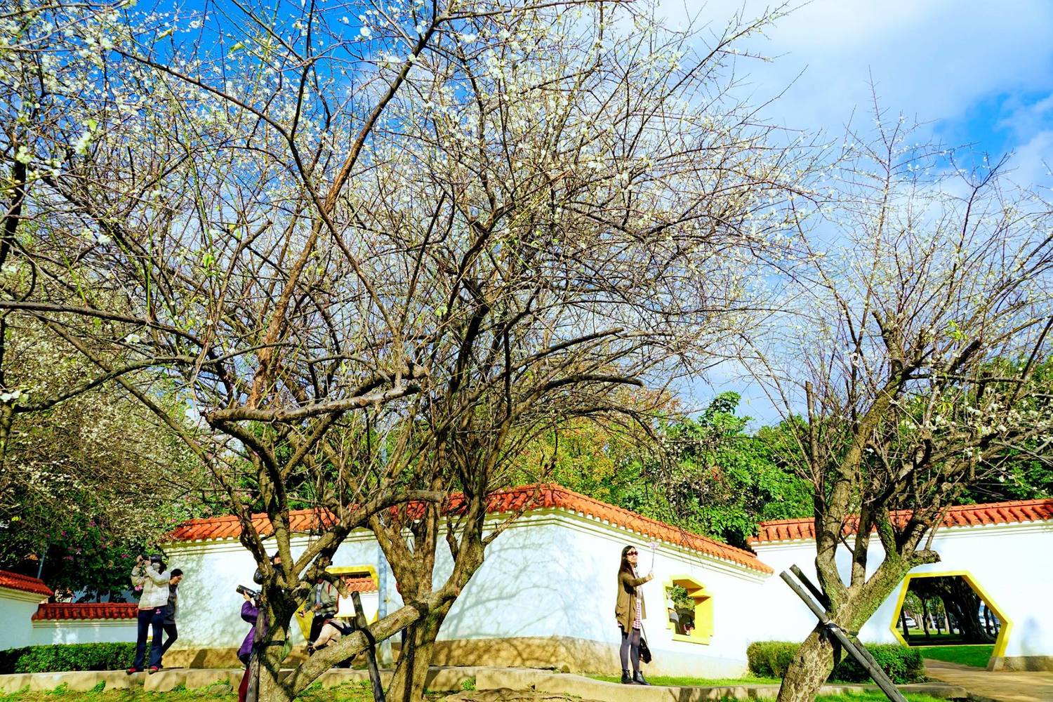志成公園充滿中國風的園林造景,不只迷人也超好拍。 圖:截自台北旅遊網粉絲專頁,高讚賢/攝 志成公園充滿中國風的園林造景,不只迷人也超好拍。 圖:截自台北旅遊網粉絲專頁,高讚賢/攝