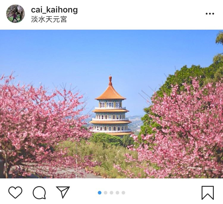 「無極天元宮」後山的櫻花景緻,搭配天元宮傳統的中國式建築,拍起來別有一番風味。 圖:翻攝自instagram cai_kaihong/開放權限 「無極天元宮」後山的櫻花景緻,搭配天元宮傳統的中國式建築,拍起來別有一番風味。 圖:翻攝自instagram cai_kaihong/開放權限