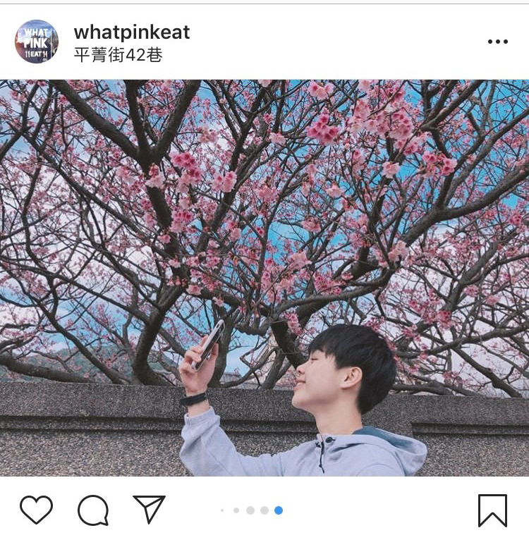 「平菁街42巷」迷人的櫻花景緻,不管怎麼拍都好看。 圖:翻攝自instagram whatpinkeat/開放權限 「平菁街42巷」迷人的櫻花景緻,不管怎麼拍都好看。 圖:翻攝自instagram whatpinkeat/開放權限