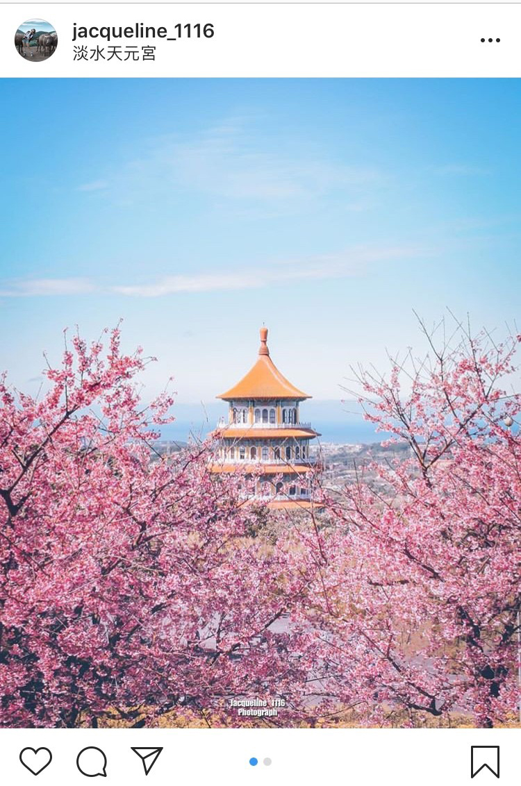 充滿中國風的「無極天元宮」,配上粉紅色的三色櫻景色,真的超迷人! 圖:翻攝自instagram jacqueline_1116/開放權限 充滿中國風的「無極天元宮」,配上粉紅色的三色櫻景色,真的超迷人! 圖:翻攝自instagram jacqueline_1116/開放權限
