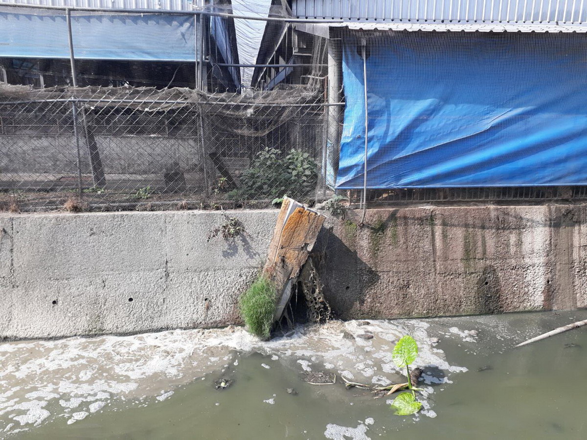 環保局查獲2家養豬場有排放廢水情形。 圖:屏東縣政府提供 環保局查獲2家養豬場有排放廢水情形。 圖:屏東縣政府提供