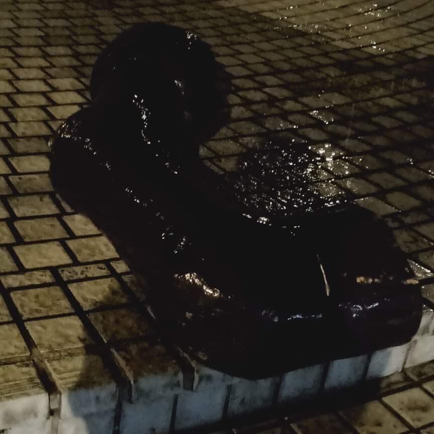 涉案許姓大學生並發表聲明指出,是因為對先前藍天行動聯盟破壞台北228和平紀念館前的和平柱相當憤怒,才會鋸斷蔣介石銅像的馬腳,並稱已做好準備面對法律責任。 圖:翻攝自公民攝影守護民主陣線 涉案許姓大學生並發表聲明指出,是因為對先前藍天行動聯盟破壞台北228和平紀念館前的和平柱相當憤怒,才會鋸斷蔣介石銅像的馬腳,並稱已做好準備面對法律責任。 圖:翻攝自公民攝影守護民主陣線