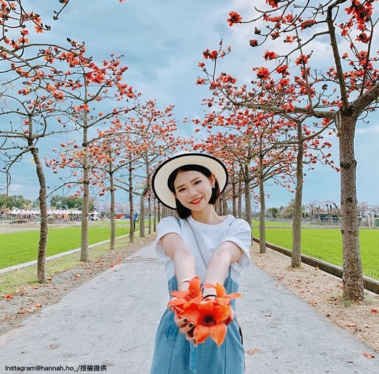 「白河林初埤木棉花道」也是台南近期熱門的打卡勝地。 圖:翻攝自instagram hannah.ho_/開放權限 「白河林初埤木棉花道」也是台南近期熱門的打卡勝地。 圖:翻攝自instagram hannah.ho_/開放權限