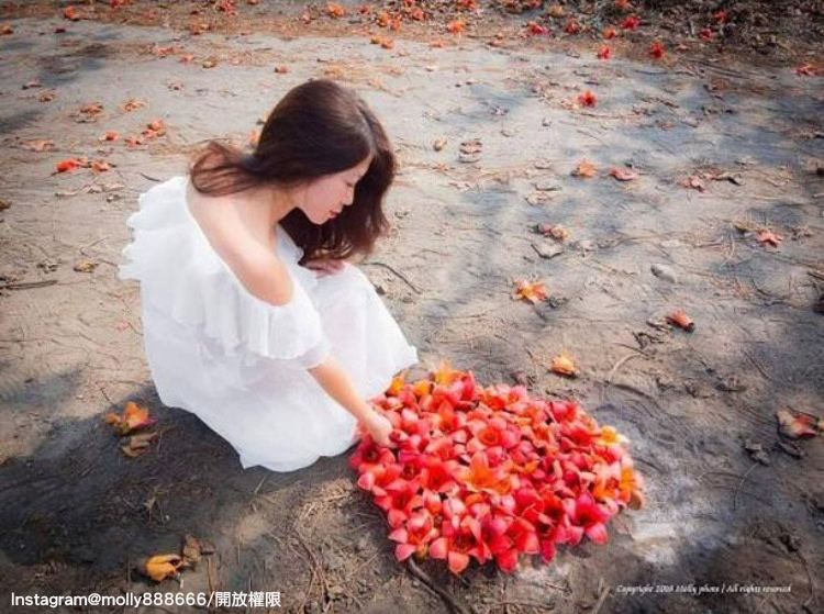 「彰化竹塘木棉花道」是當地人的私房賞花景點。 圖:翻攝自instagram molly888666/開放權限 「彰化竹塘木棉花道」是當地人的私房賞花景點。 圖:翻攝自instagram molly888666/開放權限