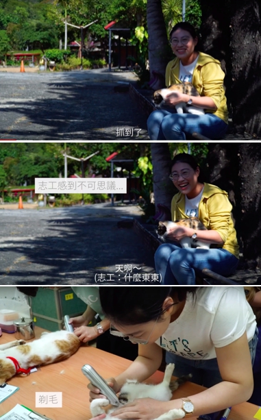 請2018 年底好味小姐應台灣之心邀約參與下鄉 TNR 活動。影片中,好味小姐陳璻安跟著志工誘捕浪貓,替他們清潔要結紮的身體區域、安撫貓咪,讓人非常感動。圖:好味小姐/提供 請2018 年底好味小姐應台灣之心邀約參與下鄉 TNR 活動。影片中,好味小姐陳璻安跟著志工誘捕浪貓,替他們清潔要結紮的身體區域、安撫貓咪,讓人非常感動。圖:好味小姐/提供