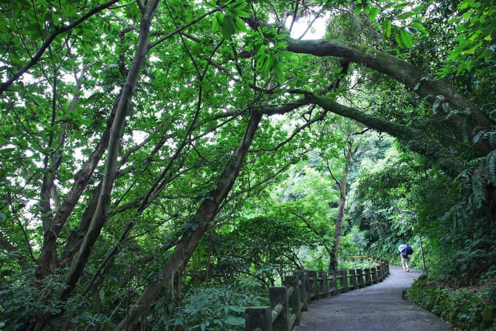 仙跡岩步道花木扶疏的景色,相當迷人。 圖:取自台北旅遊網,王能佑/攝 仙跡岩步道花木扶疏的景色,相當迷人。 圖:取自台北旅遊網,王能佑/攝