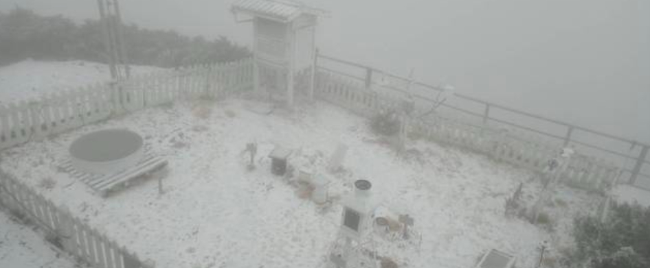 玉山今(11)日凌晨開始下雪,截至上午9時55分已積雪3.5公分。 圖:中央氣象局/提供 玉山今(11)日凌晨開始下雪,截至上午9時55分已積雪3.5公分。 圖:中央氣象局/提供