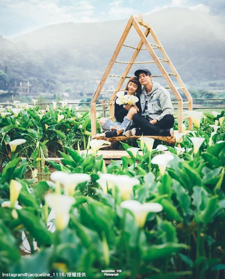 陽明山竹子湖海芋花田,非常適合情侶或是親子一同前往。 圖:翻攝自instagram jacqueline_1116 /開放權限 陽明山竹子湖海芋花田,非常適合情侶或是親子一同前往。 圖:翻攝自instagram jacqueline_1116 /開放權限
