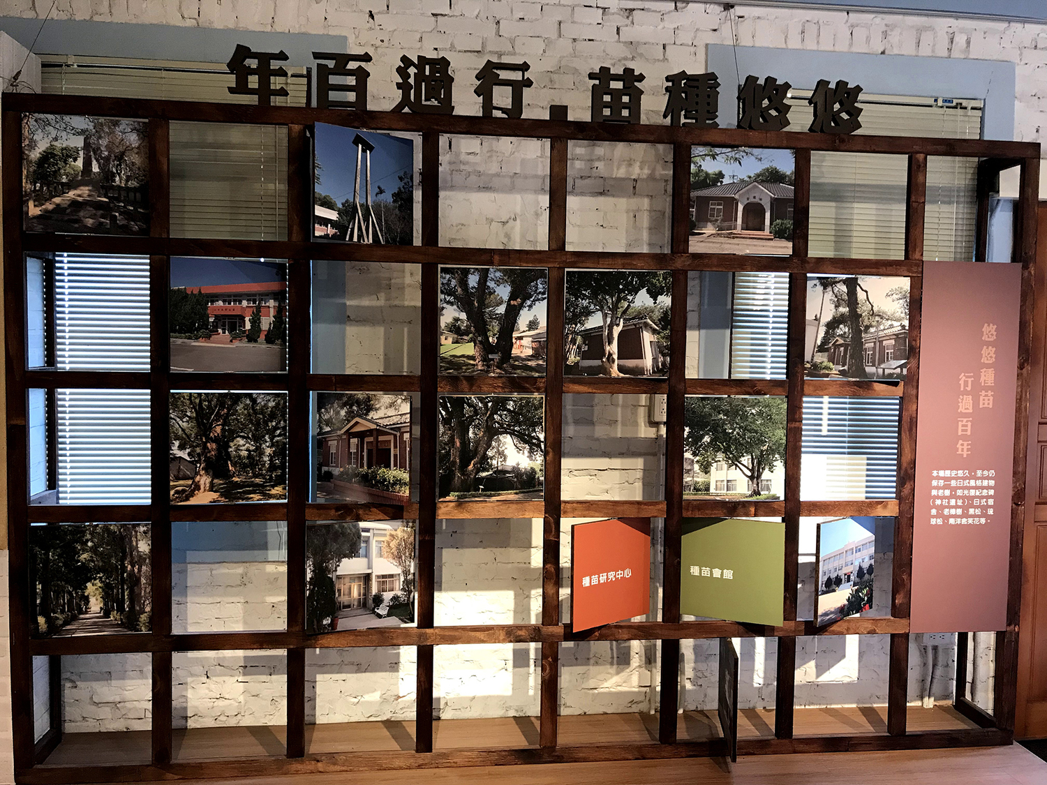 白冷圳種苗文化陳列館內百年老樹與景點照片展示。 圖:農委會種苗改良繁殖場/提供