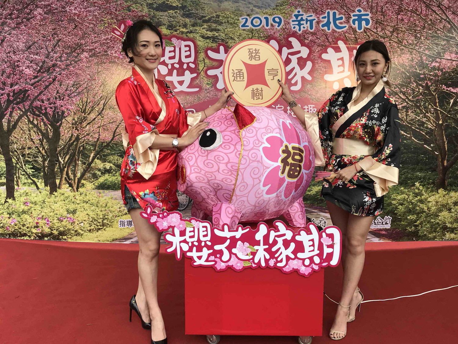 「櫻花稼期」記者會以「豬樹平安」的錢幣,點亮可愛櫻花豬,象徵存入了幸福、財富、福氣、平安。
圖:淡水區公所提供 「櫻花稼期」記者會以「豬樹平安」的錢幣,點亮可愛櫻花豬,象徵存入了幸福、財富、福氣、平安。
圖:淡水區公所提供