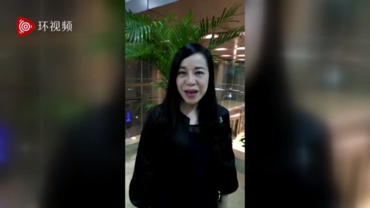 台籍政協委員凌友詩。 圖:翻攝自YOUTUBE 台籍政協委員凌友詩。 圖:翻攝自YOUTUBE