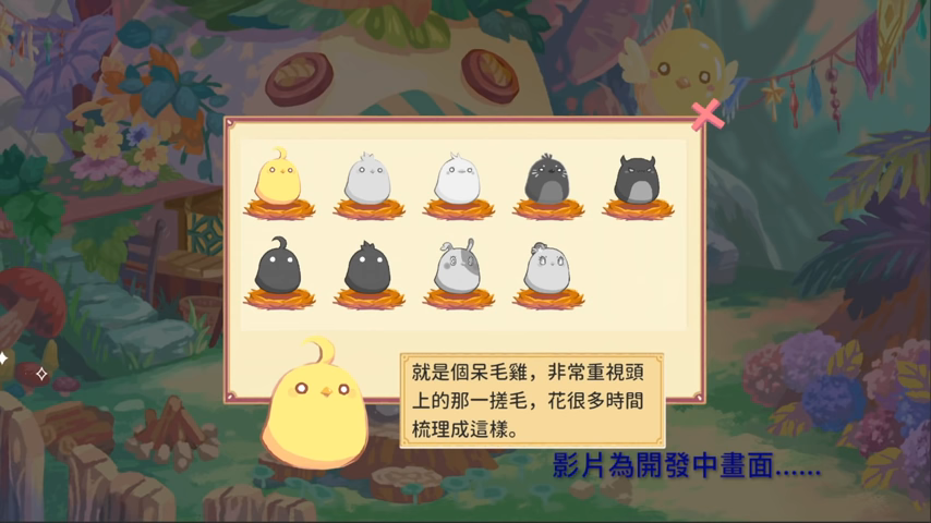 玩家可以在遊戲中培育多種不同的小雞 玩家可以在遊戲中培育多種不同的小雞