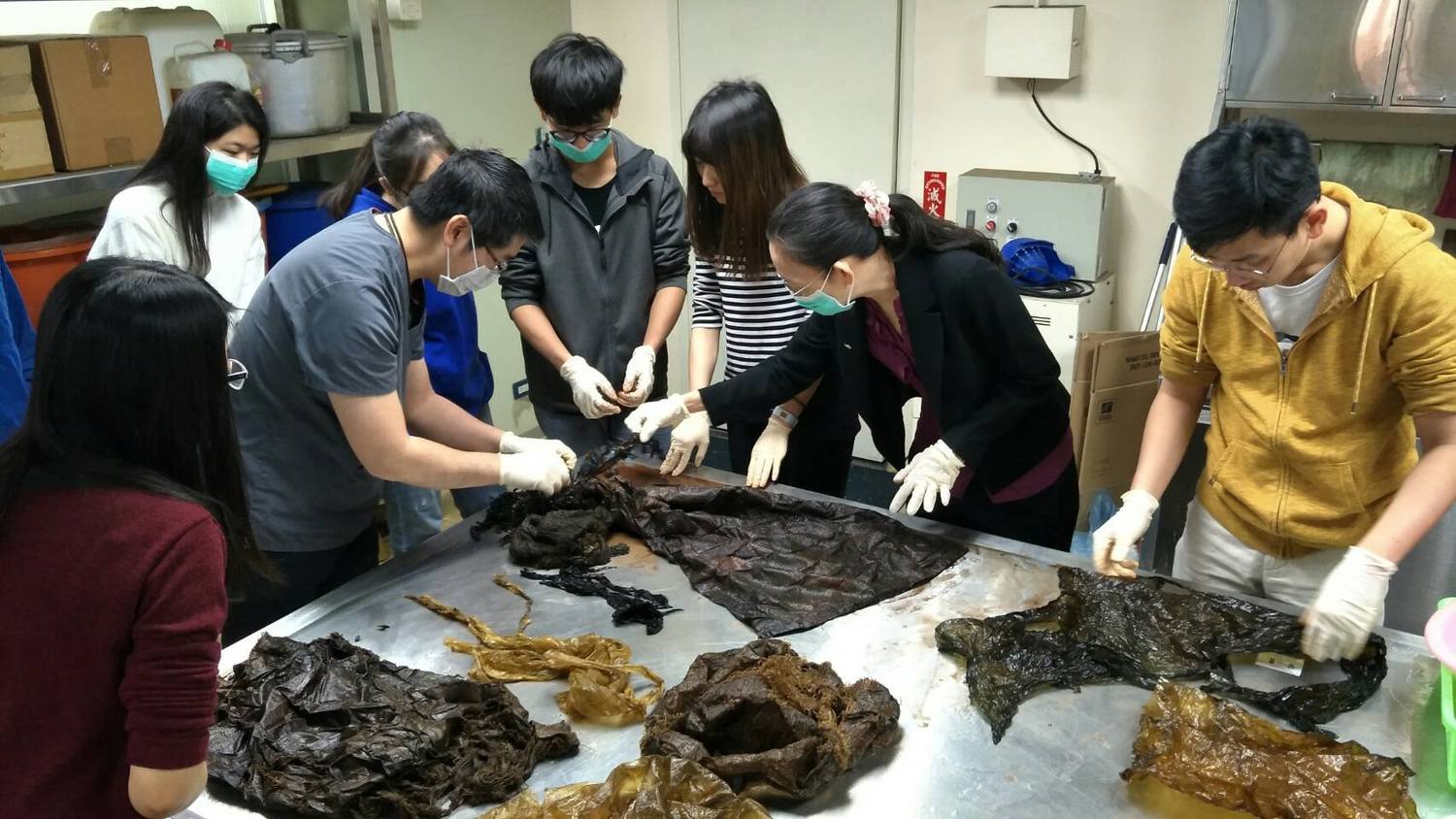 胃內容物清理現場。 圖:海保署/提供 胃內容物清理現場。 圖:海保署/提供