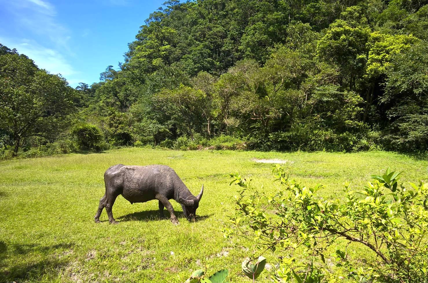 淡蘭古道中路(民路)。 圖:新北市觀光旅遊局/提供 淡蘭古道中路(民路)。 圖:新北市觀光旅遊局/提供