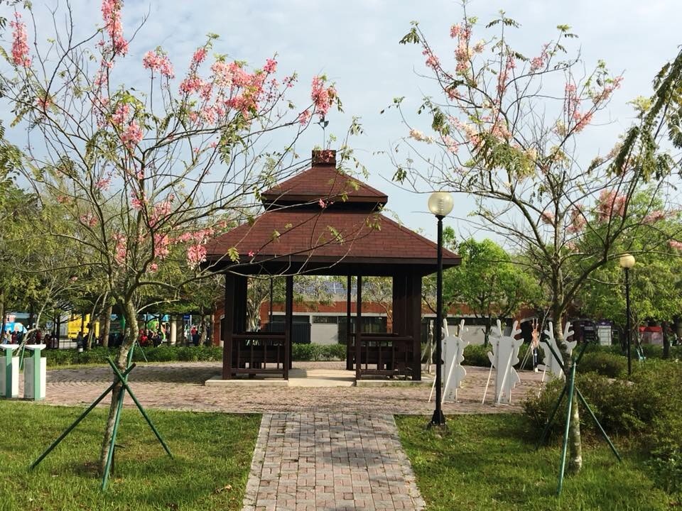 國道3號古坑服務區也可欣賞到花旗木粉紅浪漫。 圖:高速公路局/提供 國道3號古坑服務區也可欣賞到花旗木粉紅浪漫。 圖:高速公路局/提供