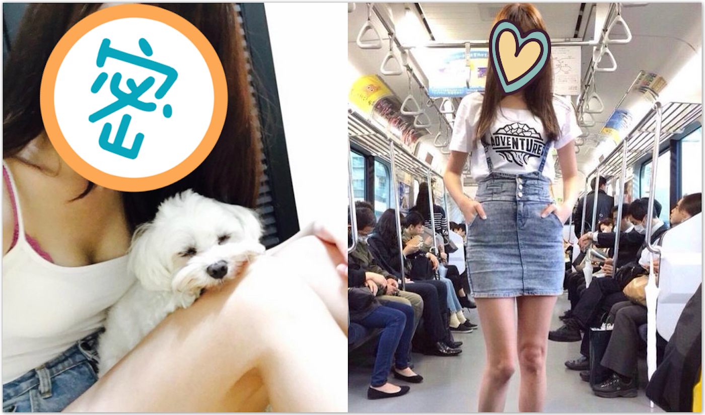 女獸醫魏立寧長相清秀,一雙超長美腿更是羨煞眾人。 圖:翻攝自PTT 女獸醫魏立寧長相清秀,一雙超長美腿更是羨煞眾人。 圖:翻攝自PTT