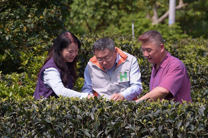柯文哲今天前往德興茶園擔任一日社區醫師。 圖:台北市政府提供 柯文哲今天前往德興茶園擔任一日社區醫師。 圖:台北市政府提供
