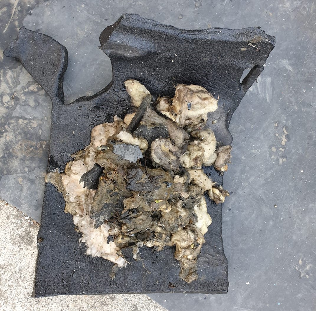 有民眾將圖po上臉書,表示這是在家中魚塭檢到的物品,疑似六輕爆炸而飛出的保溫棉。 圖:翻攝自臉書 有民眾將圖po上臉書,表示這是在家中魚塭檢到的物品,疑似六輕爆炸而飛出的保溫棉。 圖:翻攝自臉書