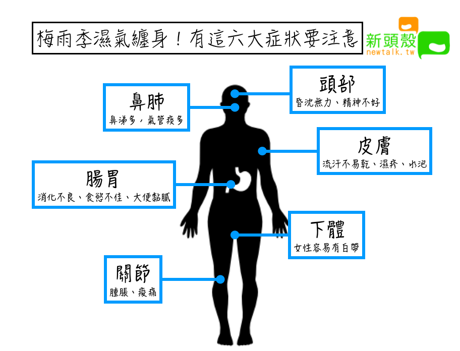 梅雨季「濕」氣纏身!有這六大症狀要注意 圖:新頭殼/製表 梅雨季「濕」氣纏身!有這六大症狀要注意 圖:新頭殼/製表