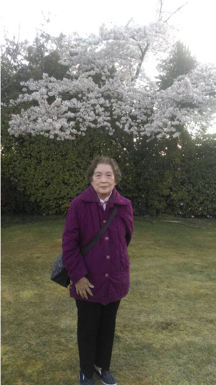 滿月就成為童養媳的羅徐月娥女士,教育五名子女有成 。 圖:板橋區公所提供 滿月就成為童養媳的羅徐月娥女士,教育五名子女有成 。 圖:板橋區公所提供