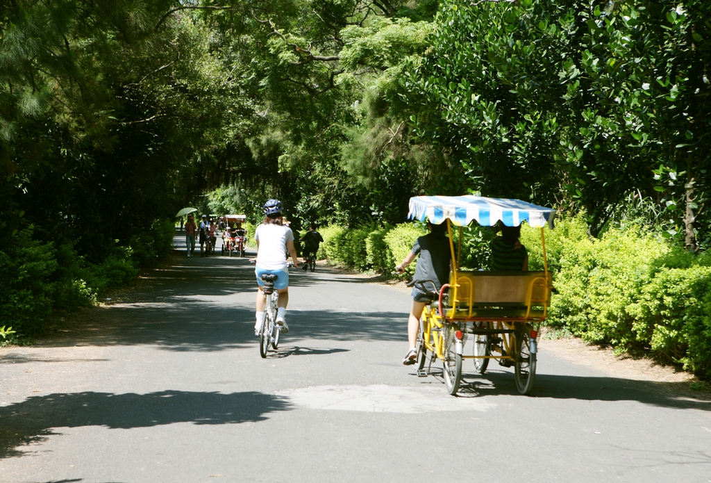 桃園新屋漁港自行車綠廊。圖：交通部觀光局/提供