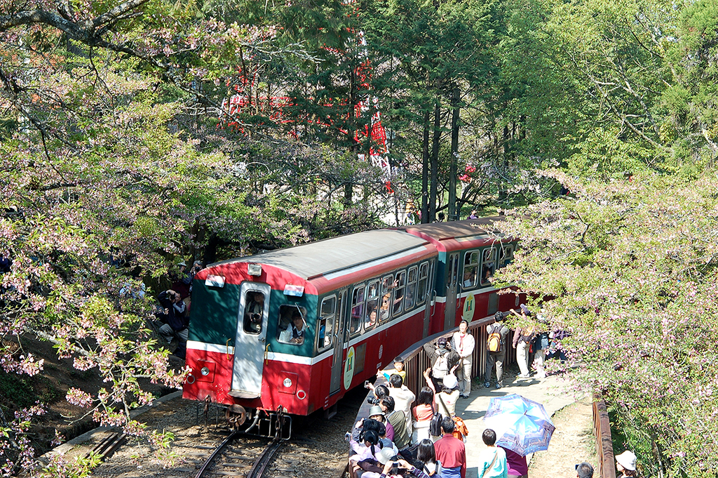 阿里山森林小火車。圖:交通部觀光局/提供 阿里山森林小火車。圖:交通部觀光局/提供