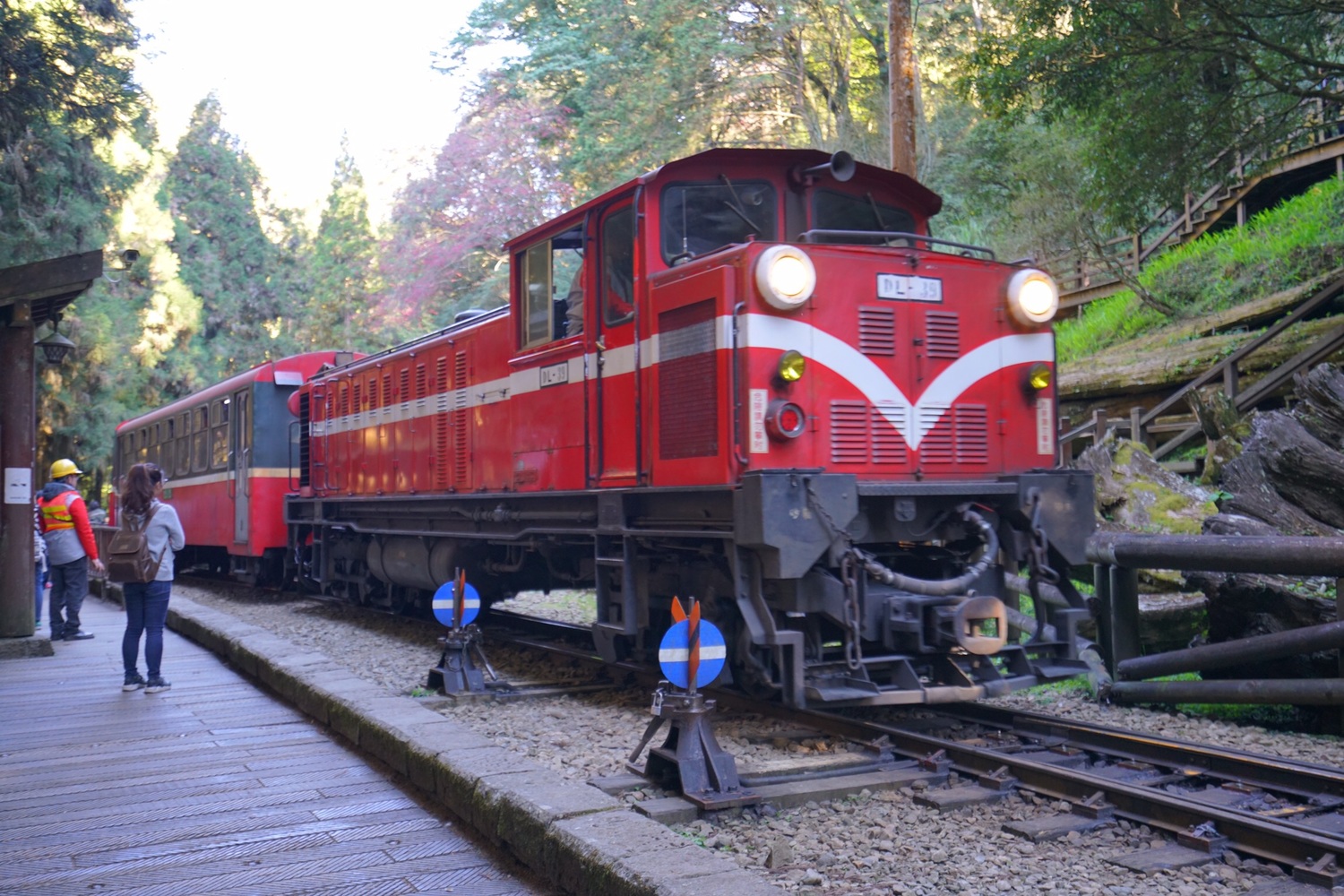 阿里山國家森林遊樂區本身的風景與林鐵都是重要的文化觀光資產,。圖:林鐵及文資處/提供 阿里山國家森林遊樂區本身的風景與林鐵都是重要的文化觀光資產,。圖:林鐵及文資處/提供