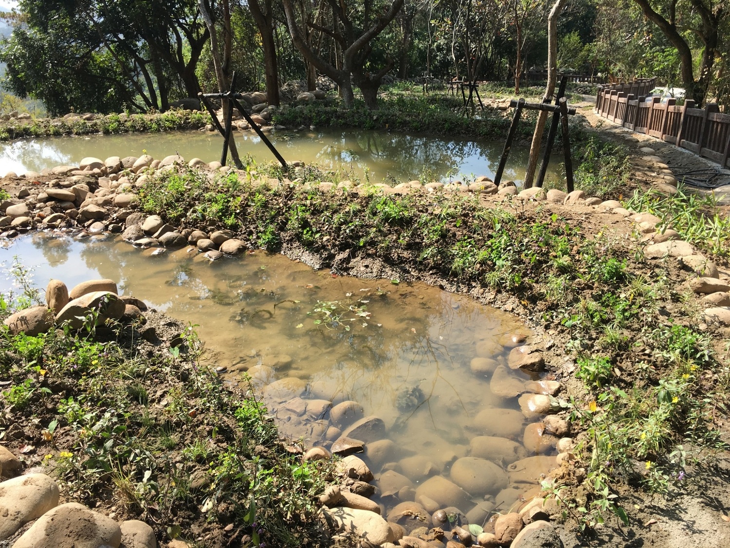 大坑生態園區。 圖:台中市觀旅局/提供 大坑生態園區。 圖:台中市觀旅局/提供