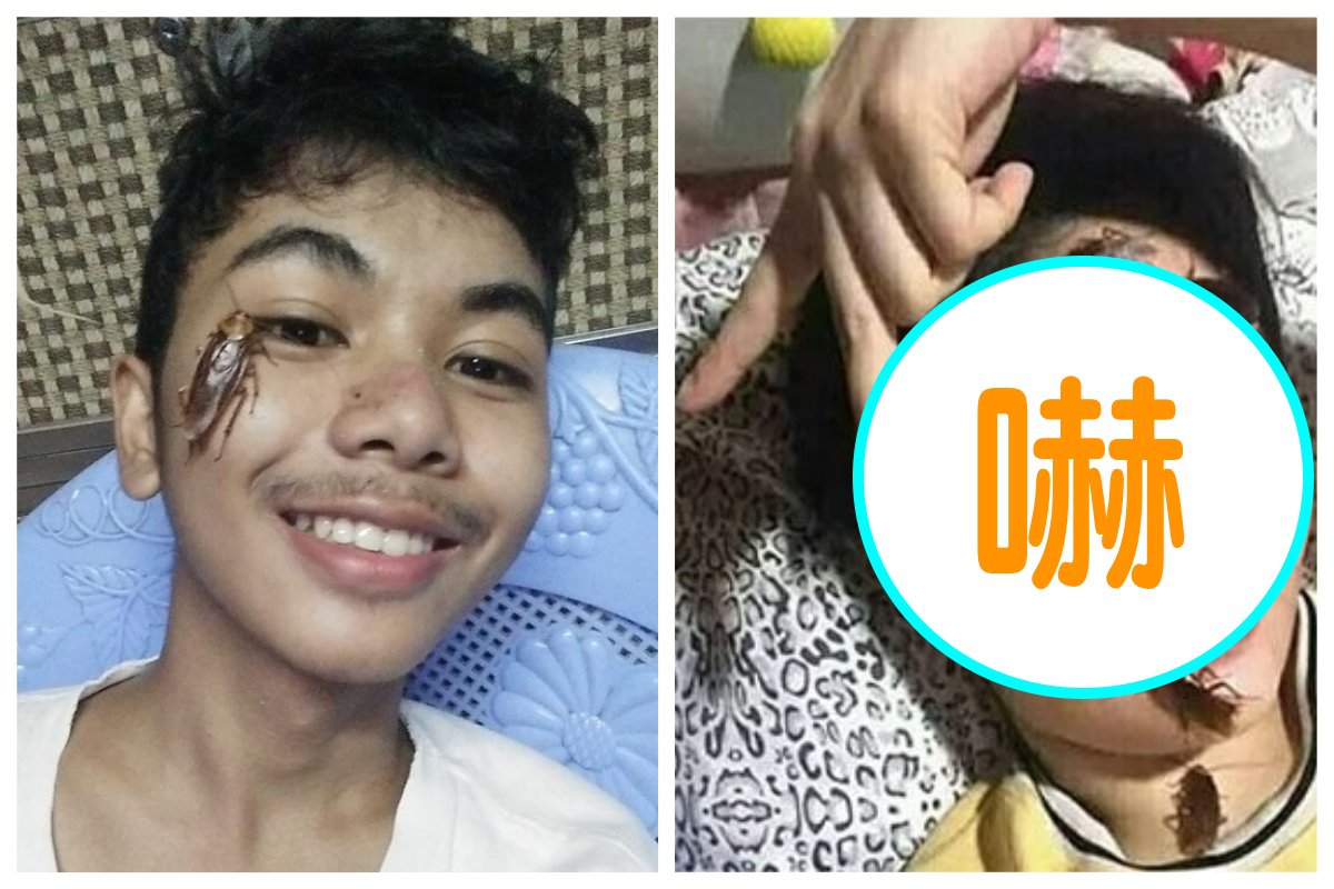 國外掀起一股「蟑螂挑戰」風潮,許多網友紛紛將蟑螂放在臉上自拍,讓人看了頭皮發麻。 圖/翻攝自臉書「106.9 Capital FM - Official」 國外掀起一股「蟑螂挑戰」風潮,許多網友紛紛將蟑螂放在臉上自拍,讓人看了頭皮發麻。 圖/翻攝自臉書「106.9 Capital FM - Official」